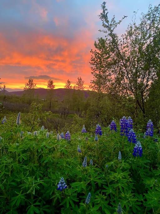 Luxury Cottage Located In The Golden Circle, Mountain View! Laugarvatn Luaran gambar